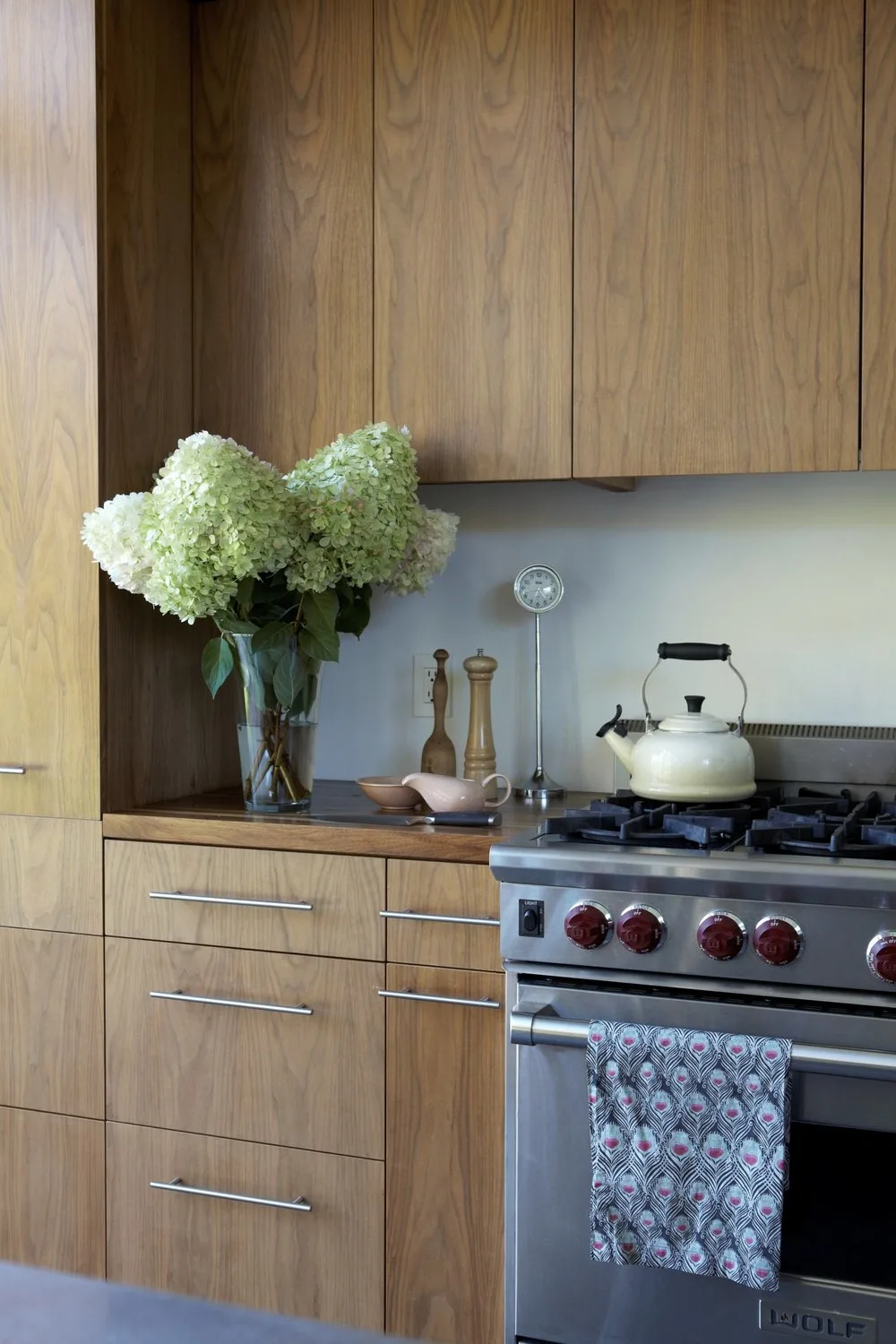 KITCHEN, wood cabinets, oven, plants