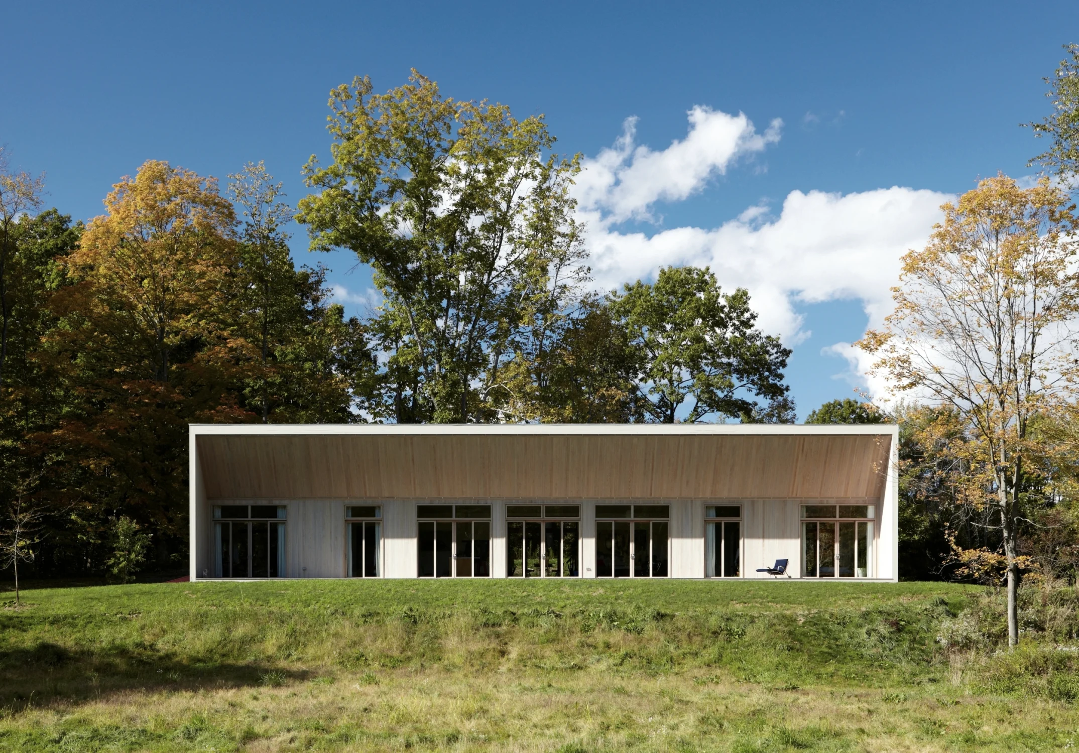 facade, day, trees, nature