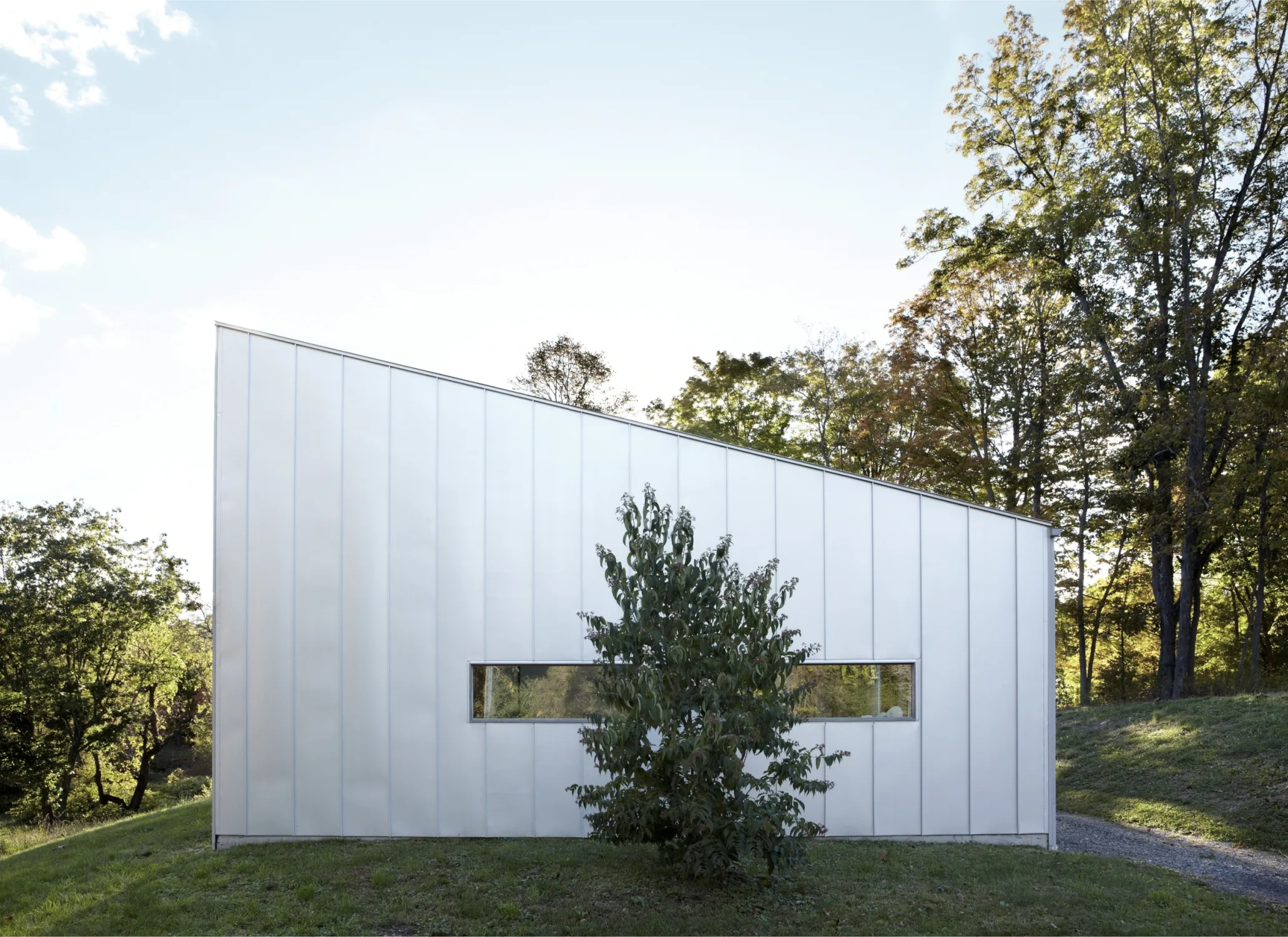 SIDE, windows, trees, metal