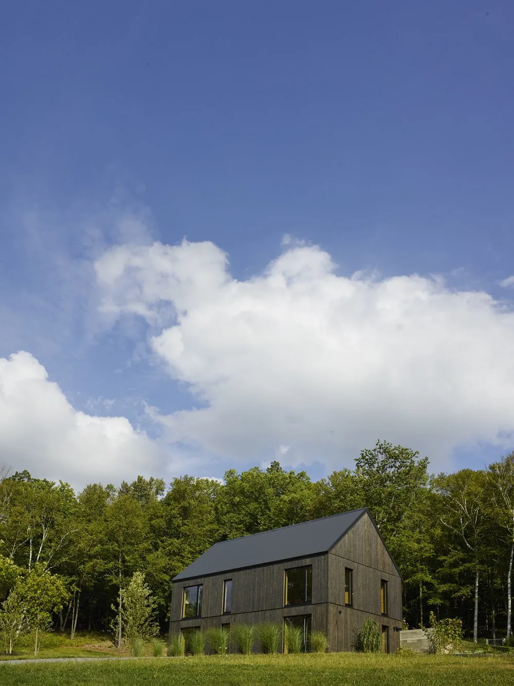 SIDE, exterior, forest, windows