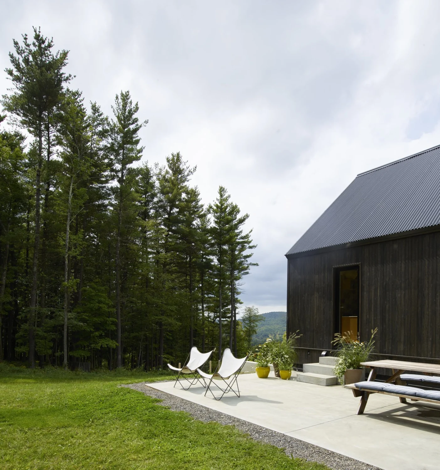 TERRACE, forest, exterior, lawn