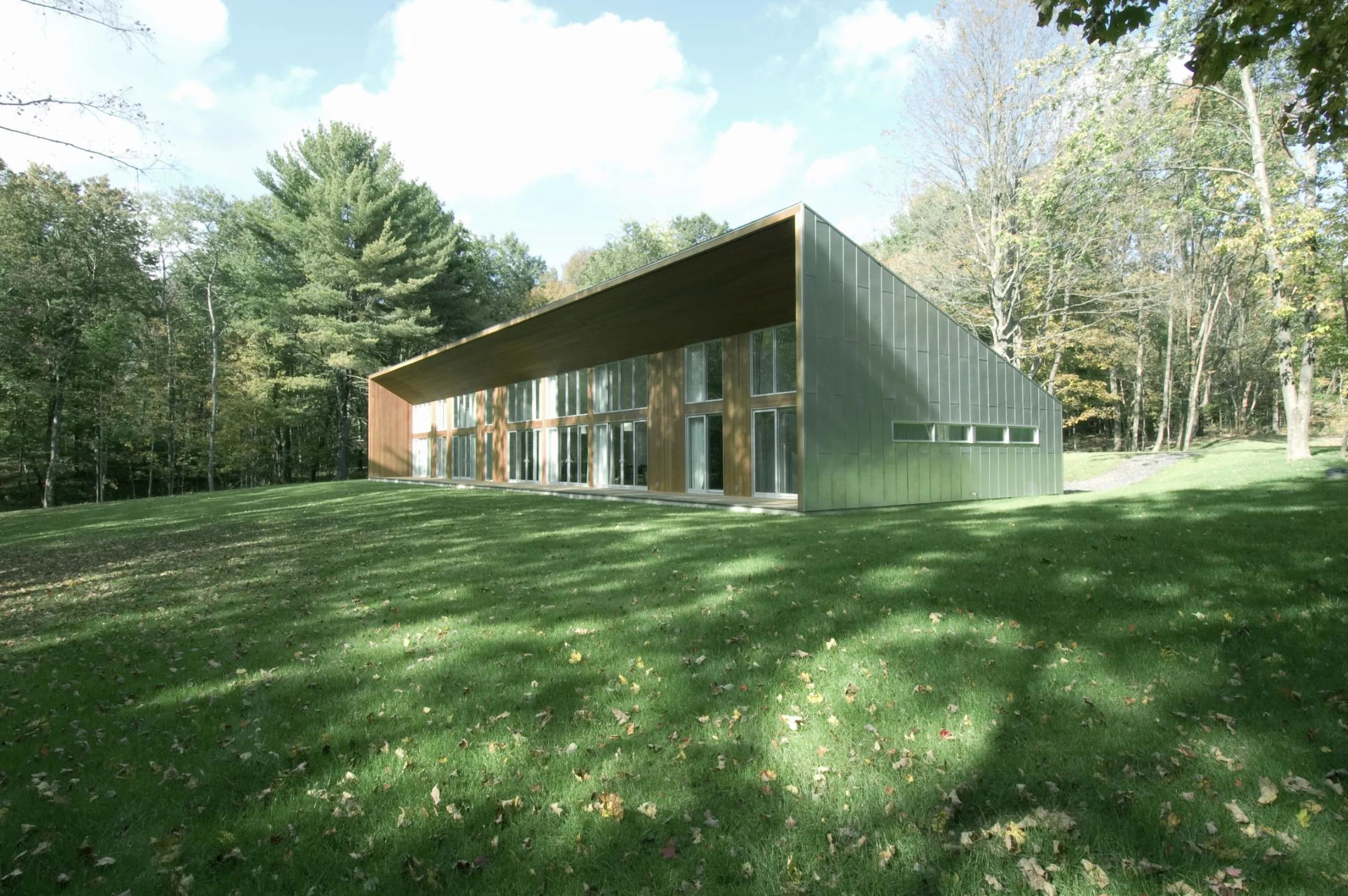 exterior, lawn, forest, windows, wood