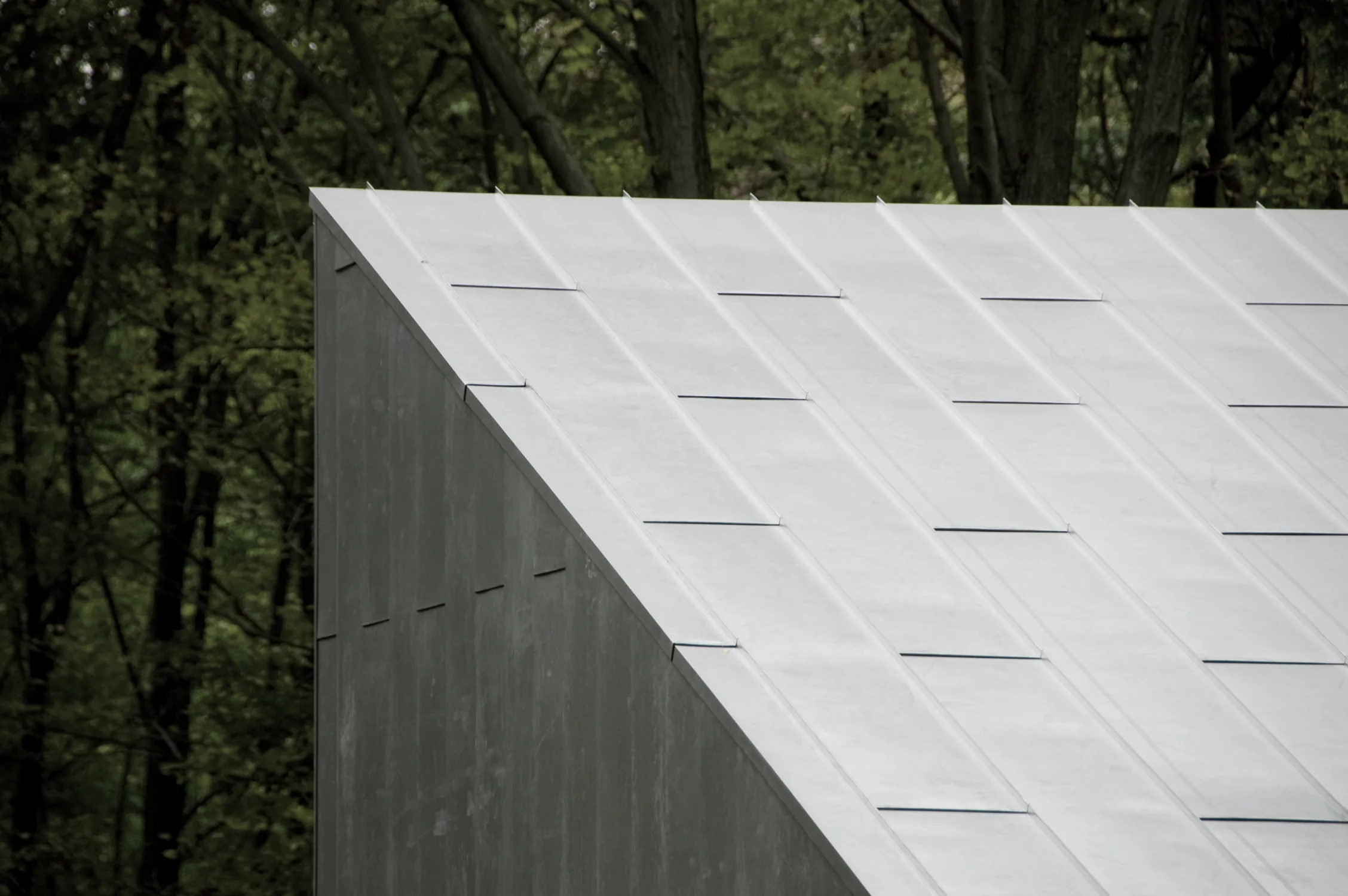 ROOF, metal, panels, forest