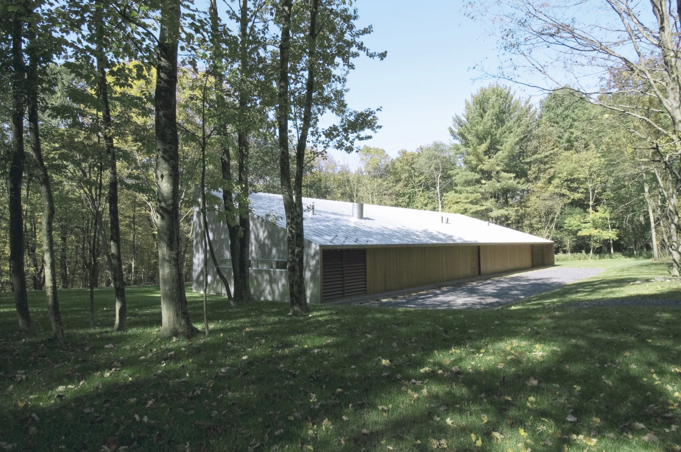 view from road, driveway, exterior, forest
