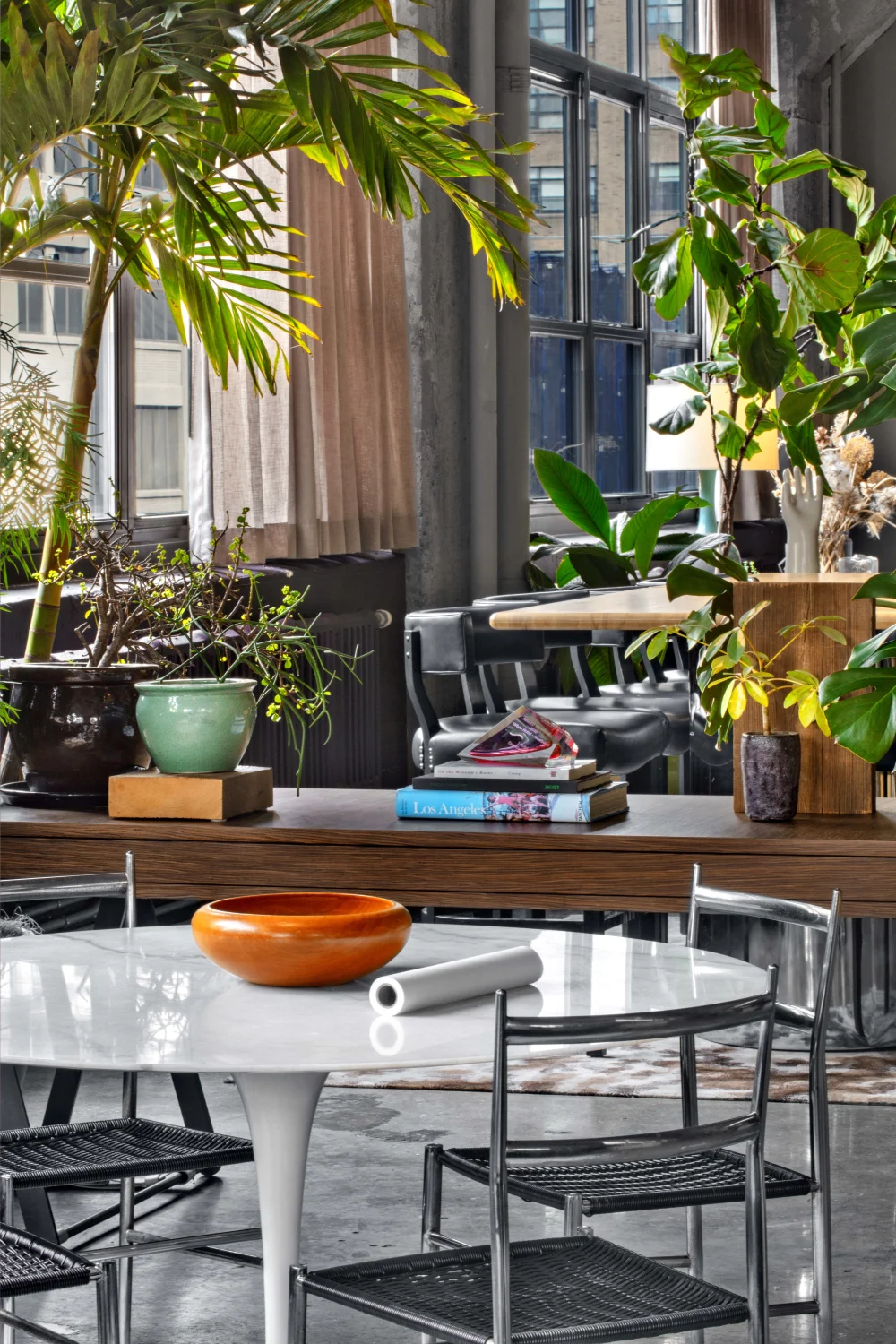 table, chairs, plants