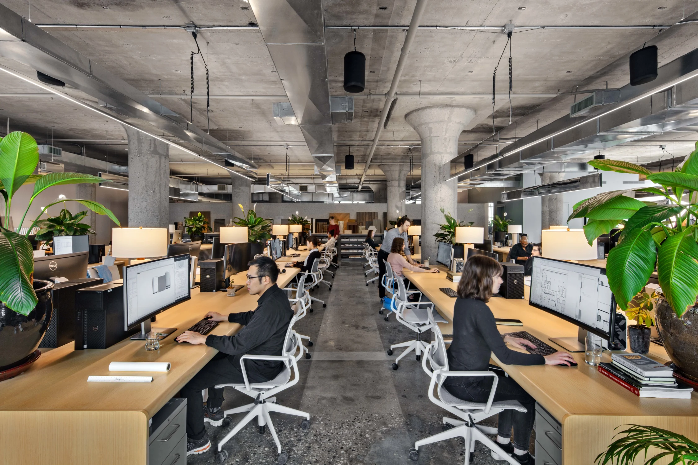 desks, columns, concrete, plants