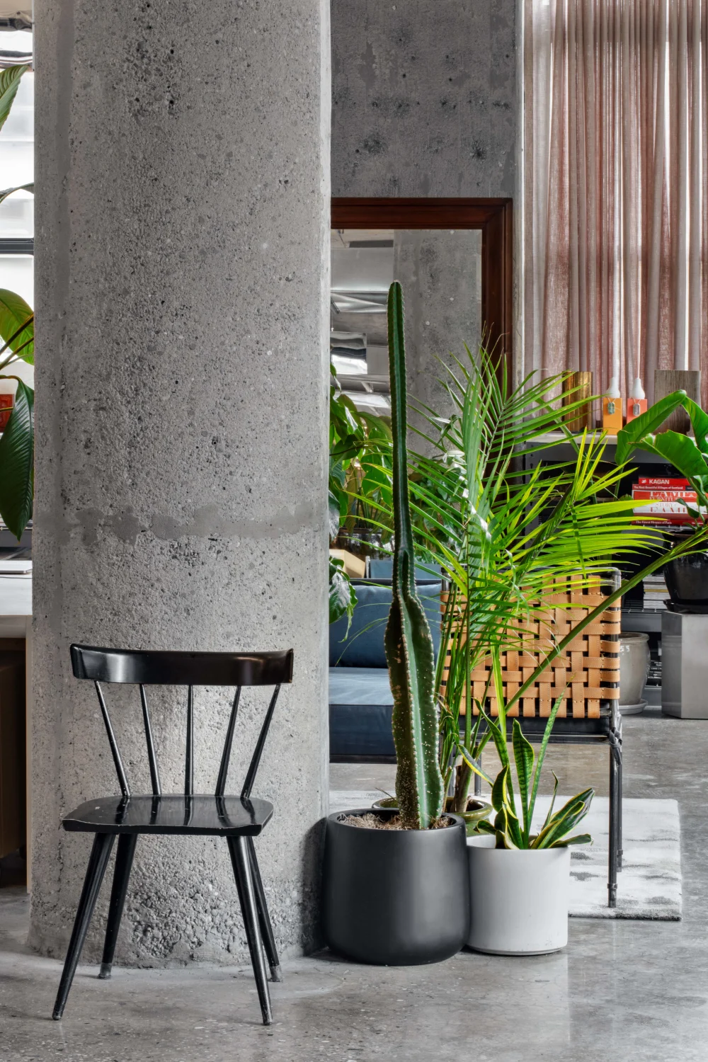 columns, wooden chair, plants