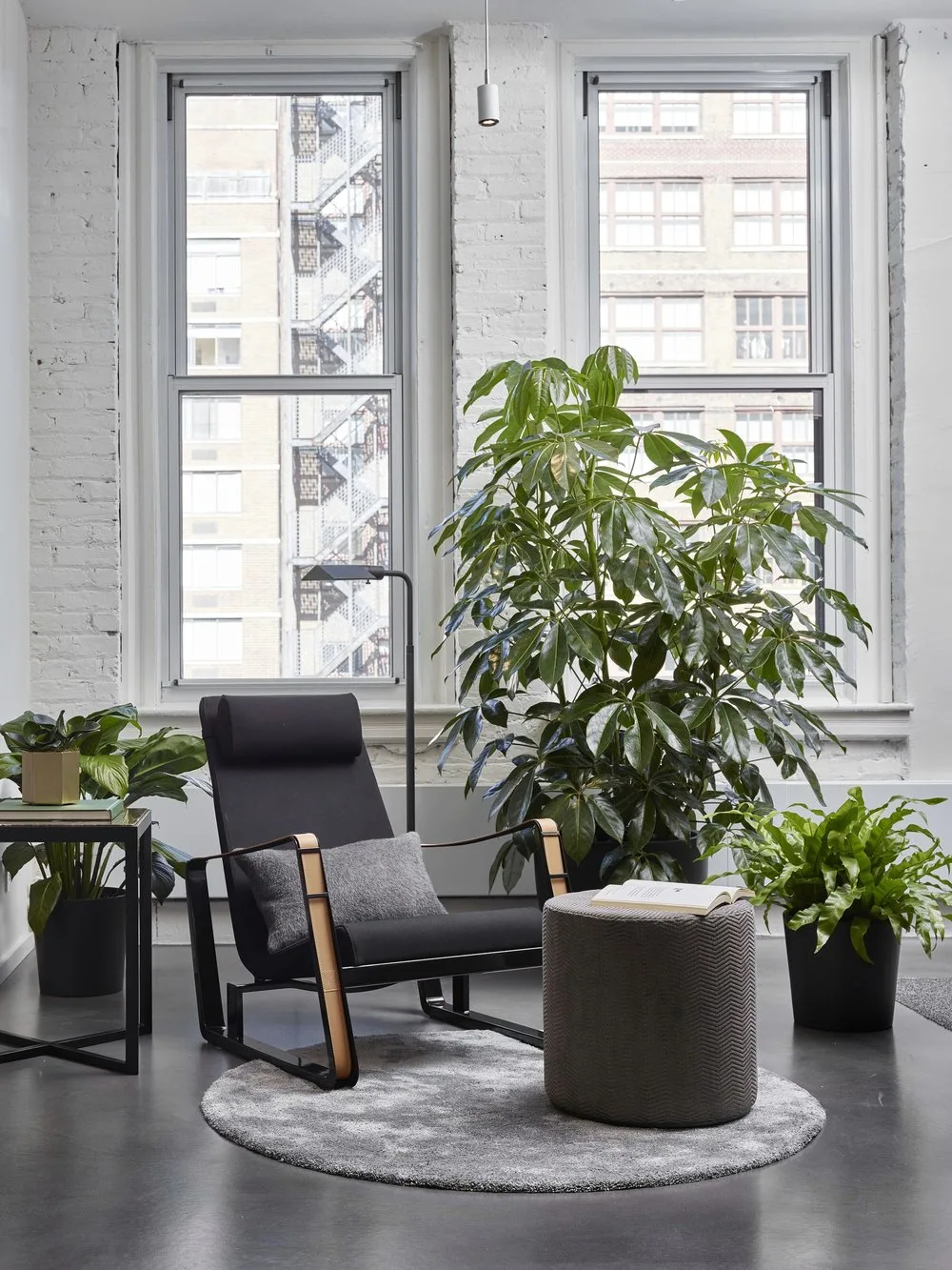 SEATING, chair, plants, windows, bricks