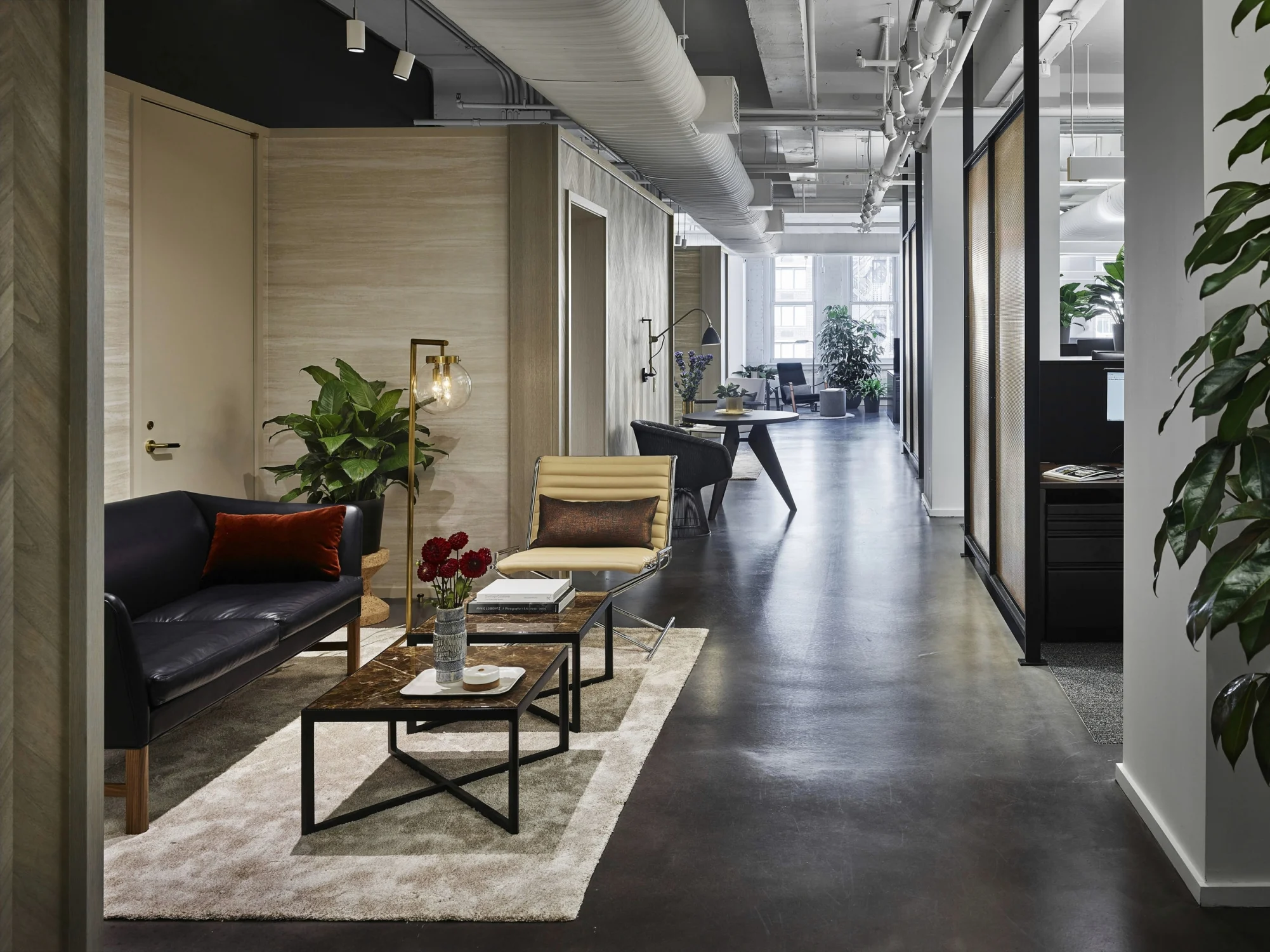 LOUNGE, seating, carpet, leather sofa