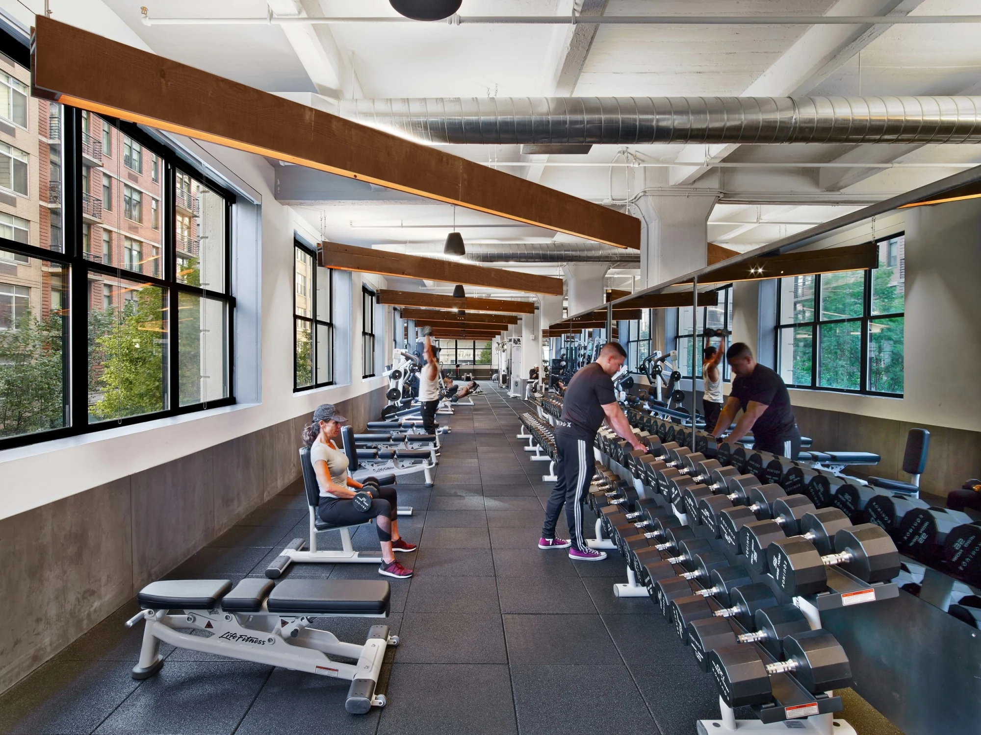 equipment, windows, wooden beams, exercise