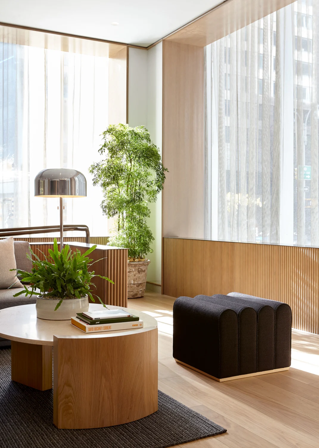 pouf, coffee table, rug, wood, curtains, plants, steel, windows, books, lamp