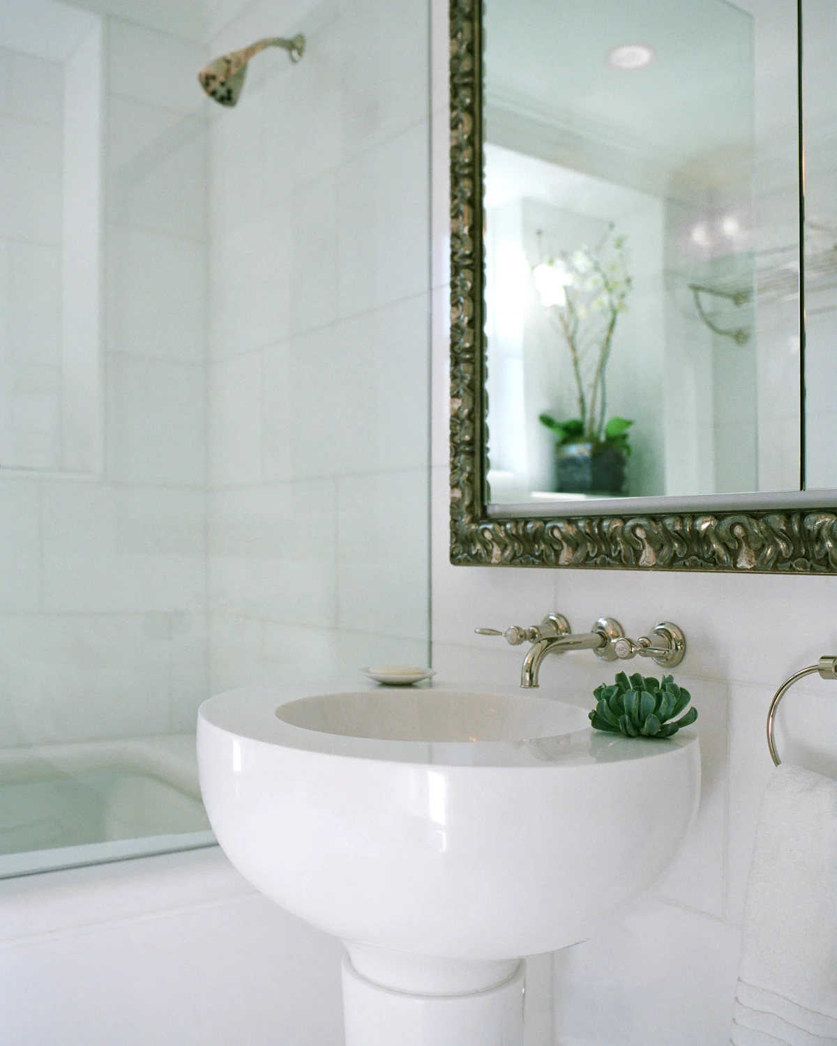 sink, shower, mirror