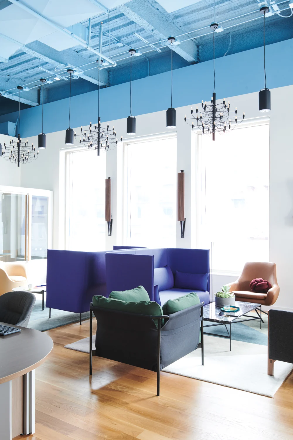seating areas, light blue, rugs, sofas