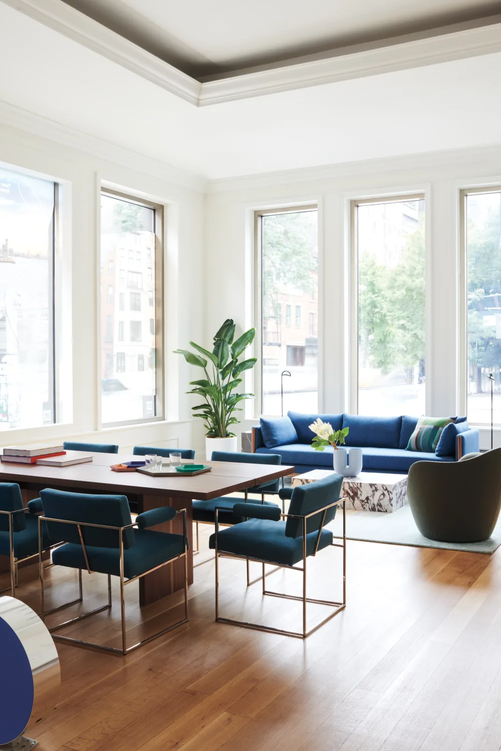 seating area, dining table, arm chairs, windows