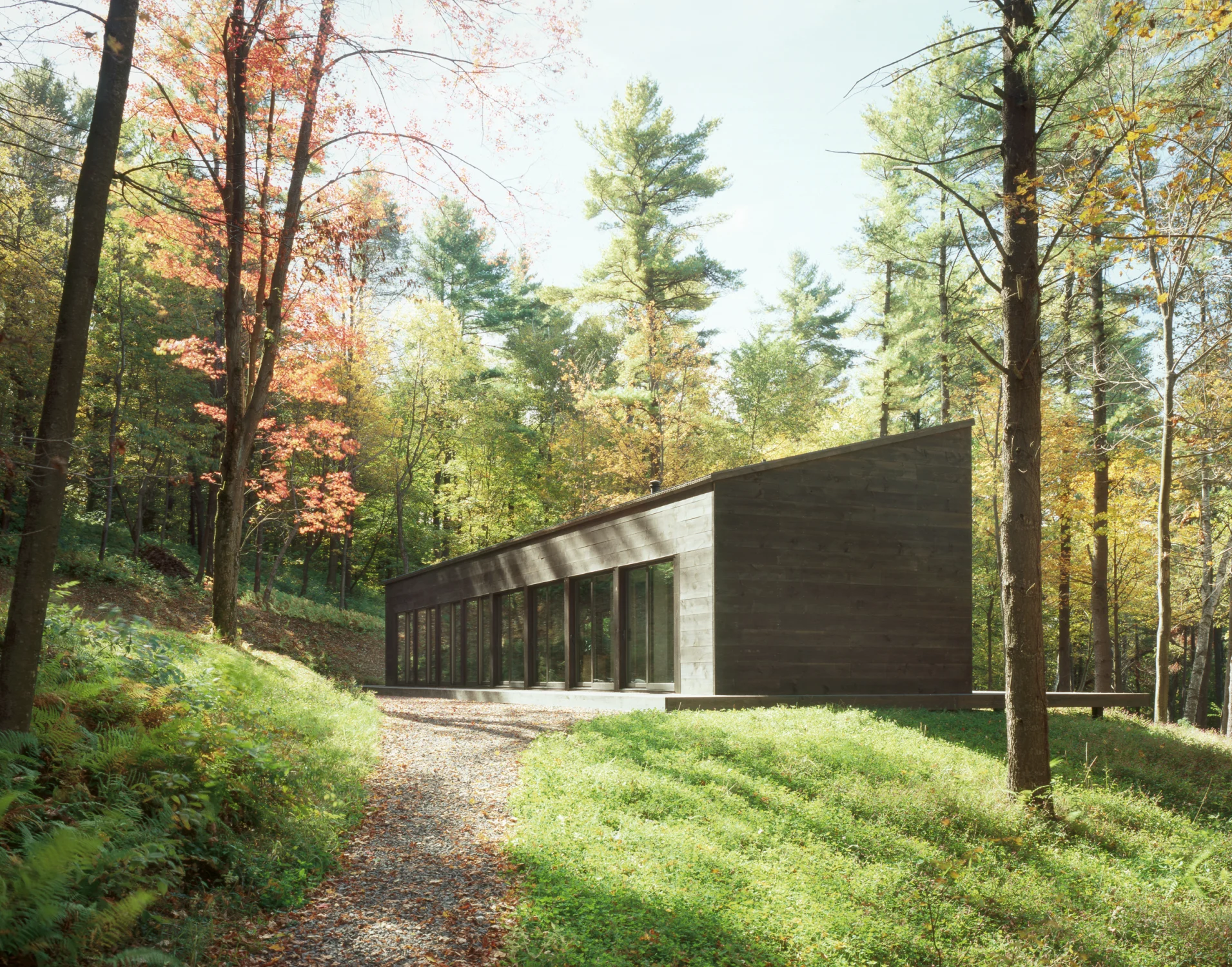 house, exterior, driveway, forest