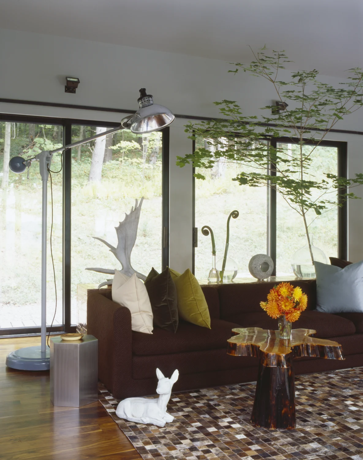 Living Room, Windows, sofa, carpet
