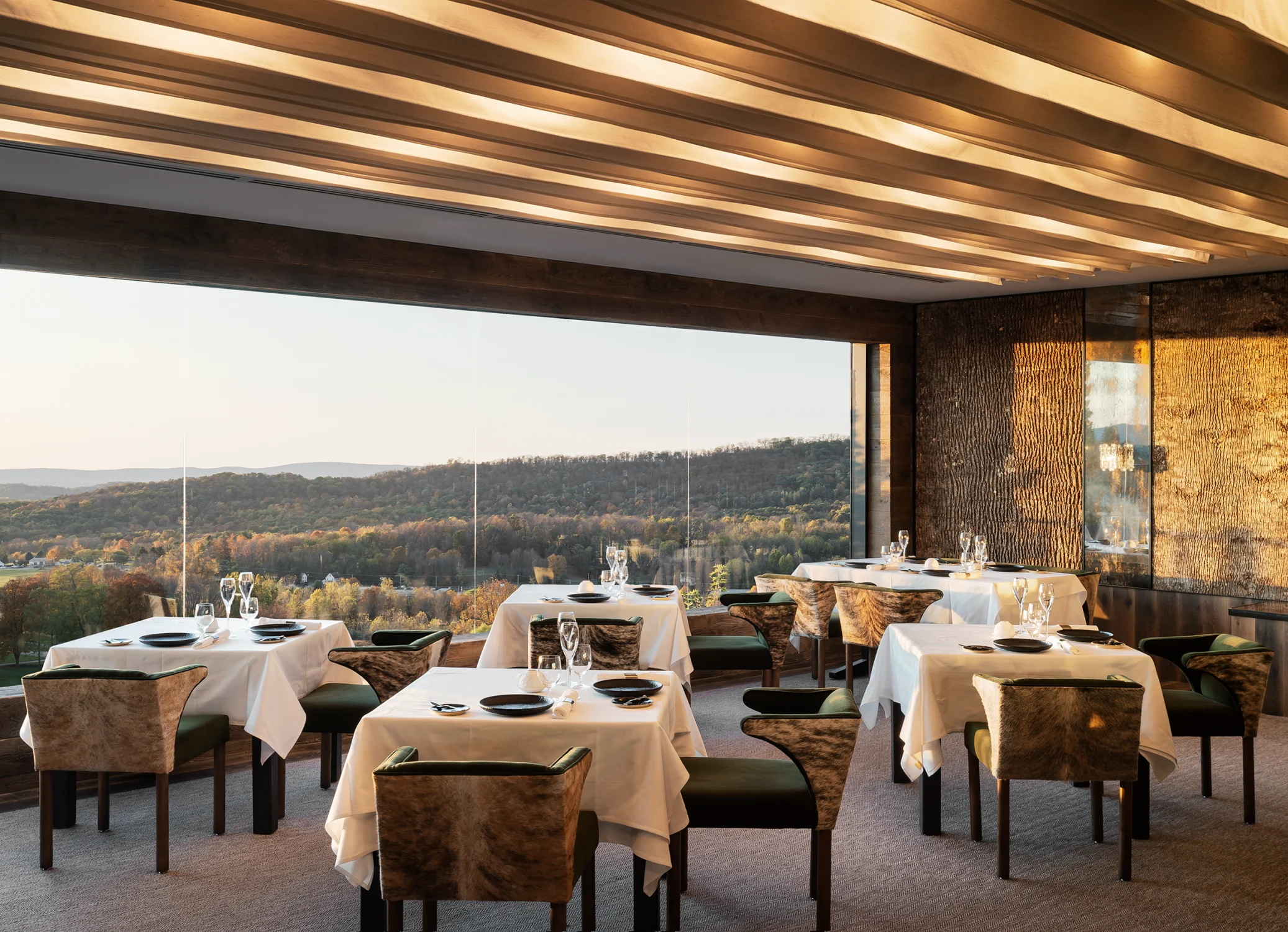 restaurant, tables, view, forest
