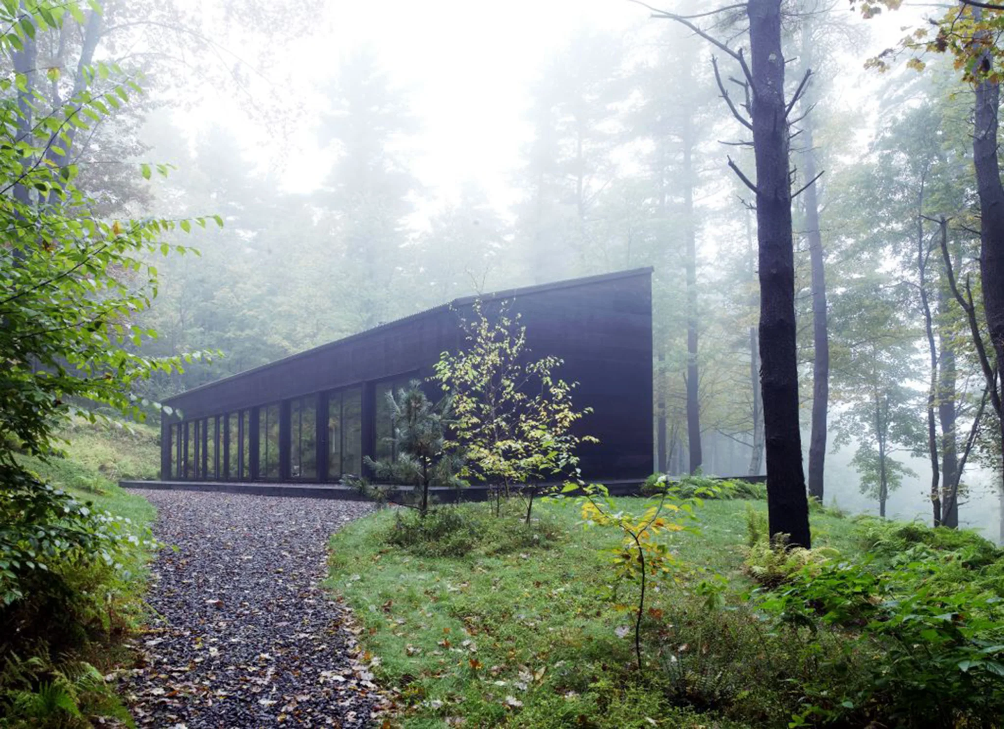 house, exterior, mist, path