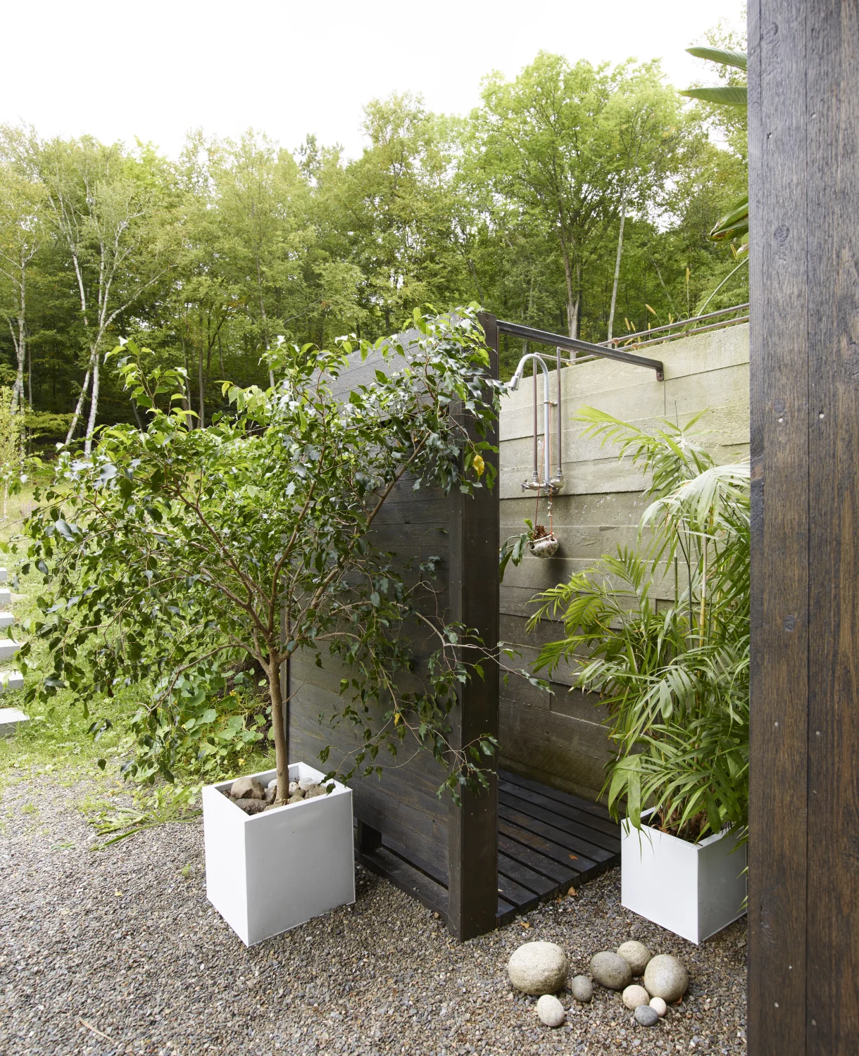 outdoor shower, plants, dark wood, nature