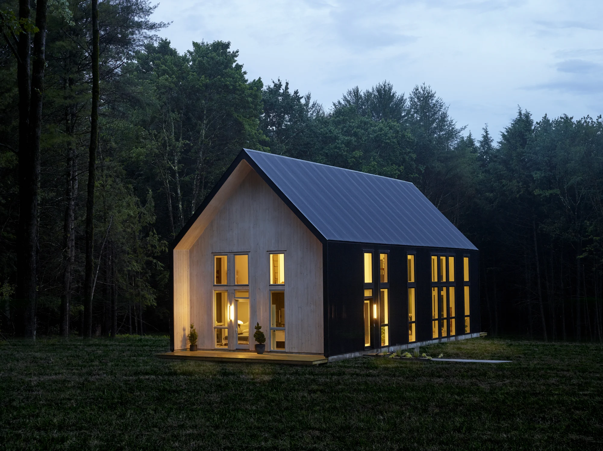 exterior, façade, contrast, forest
