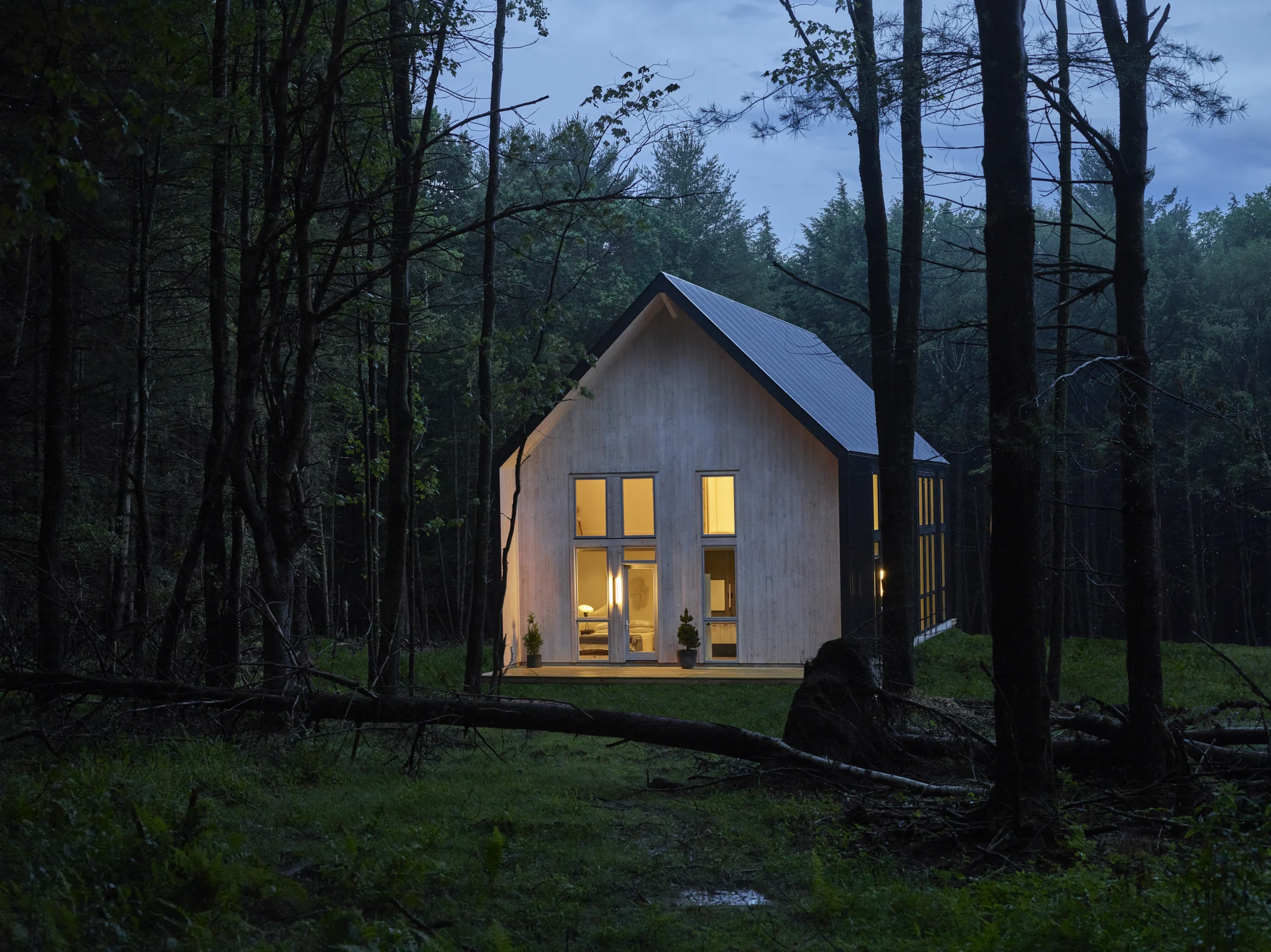 exterior, forest, house, nevelhaus