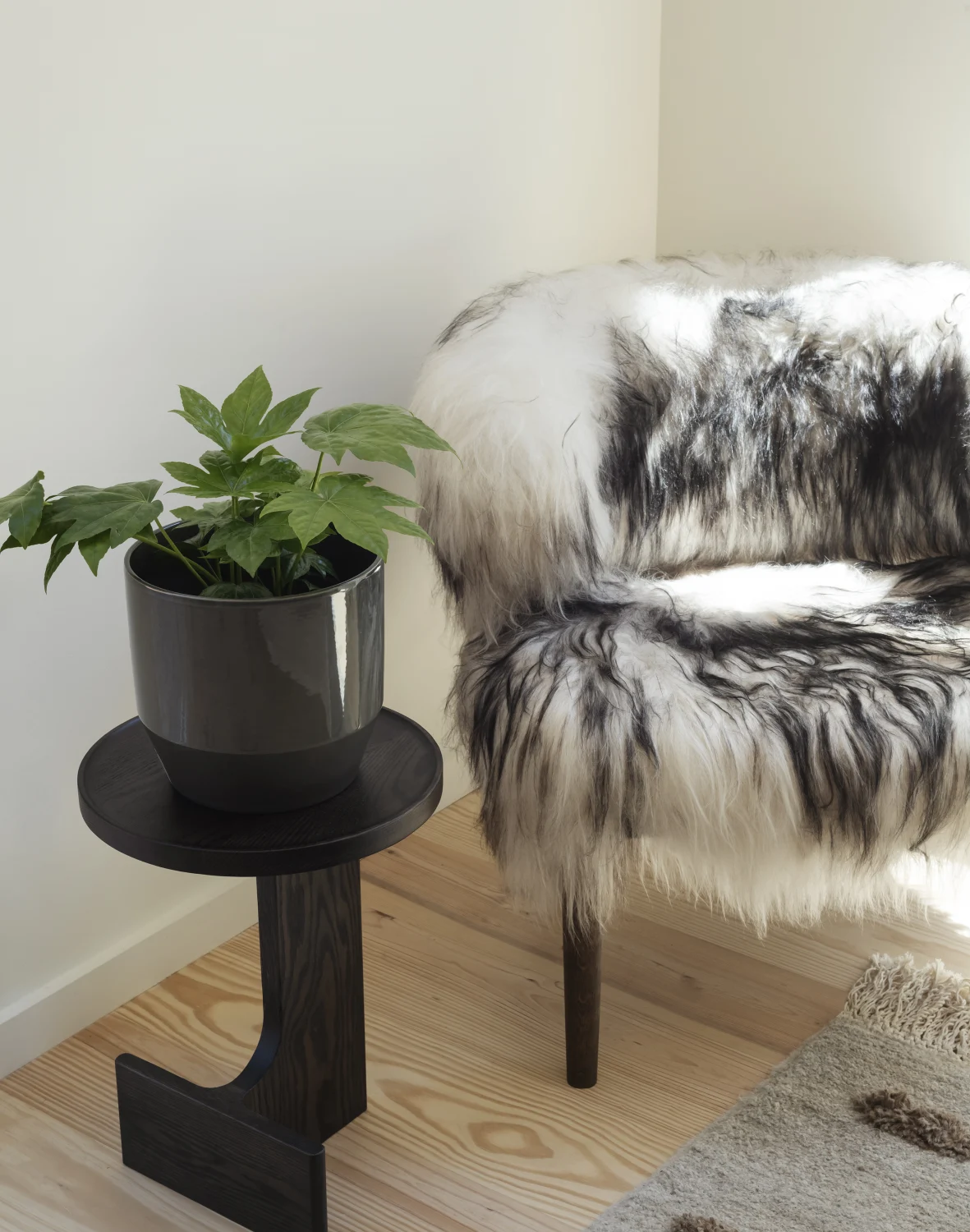 chair, fur, plant, side table