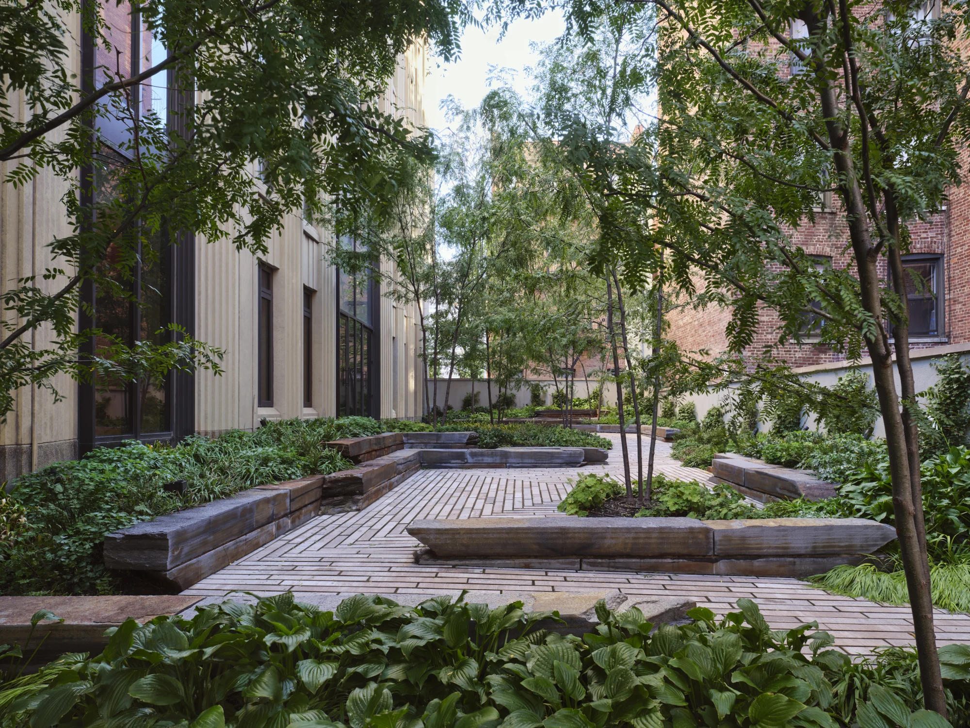 courtyard, garden, path, bench, wood, green, plants, trees
