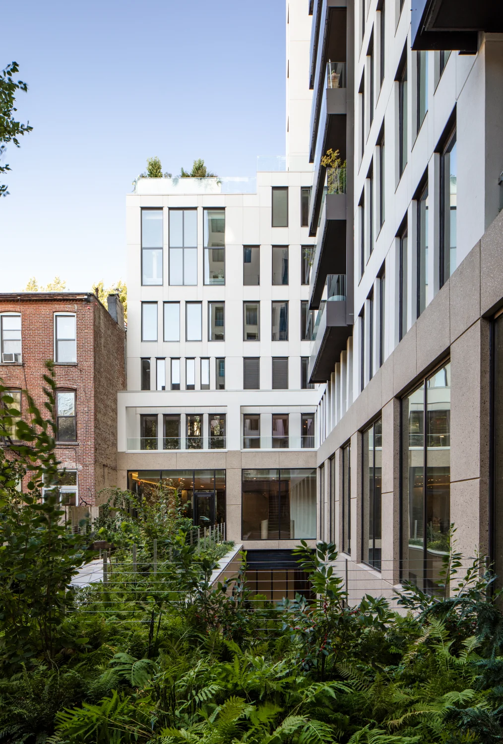 terrace, garden, plants, walkways