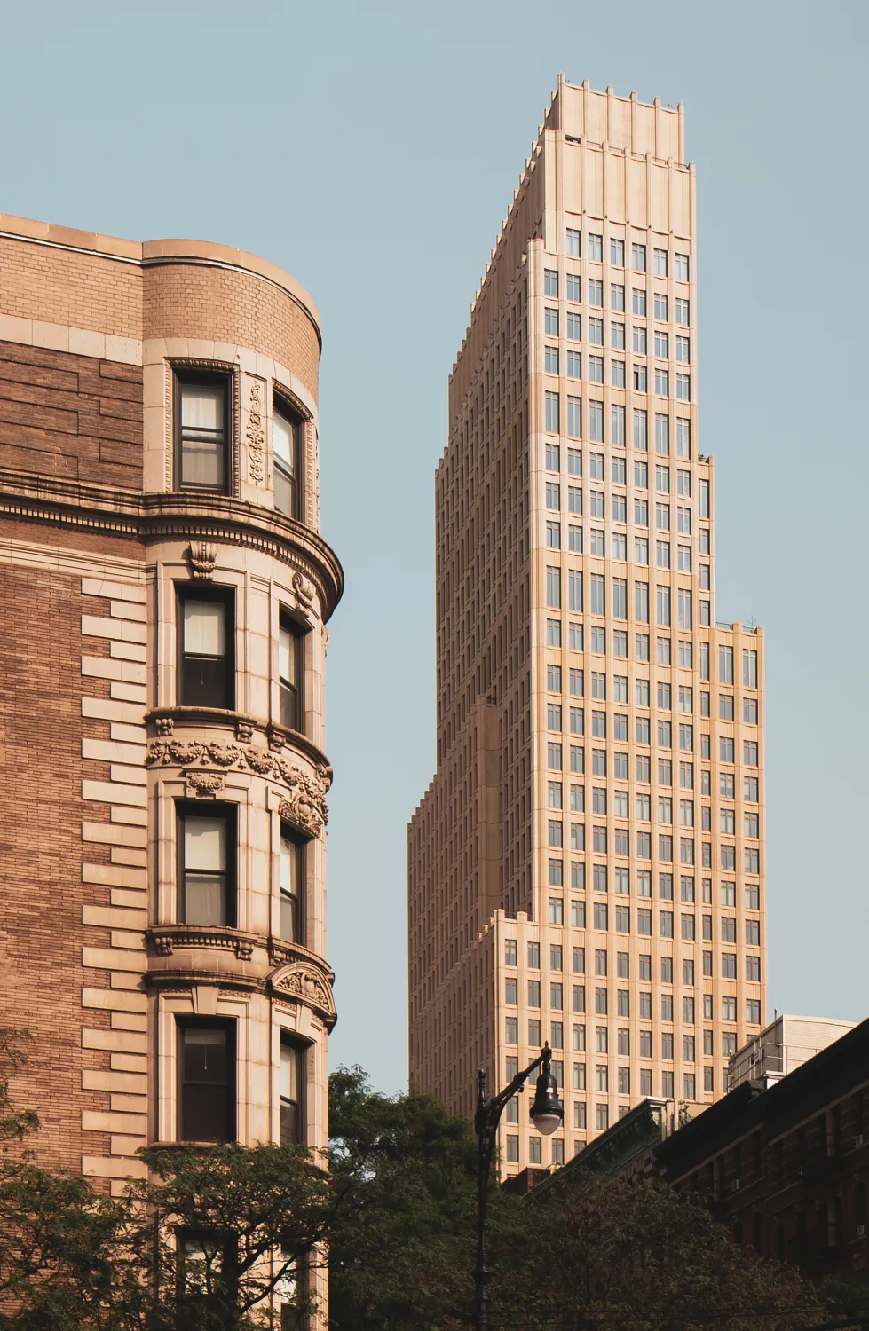 Juxtaposition, linearity, sky, windows, trees