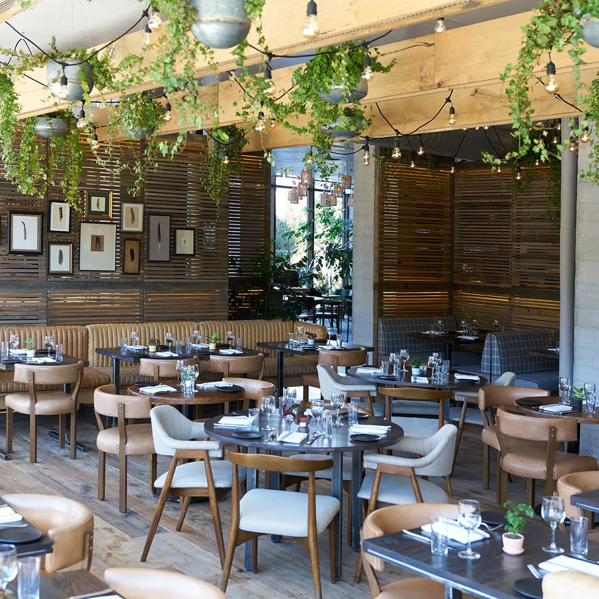 Table,  Chairs,  Pendant lights,  Wood,  Ceiling beams,  Concrete,  Plants,  Dining,  Natural light,  Window