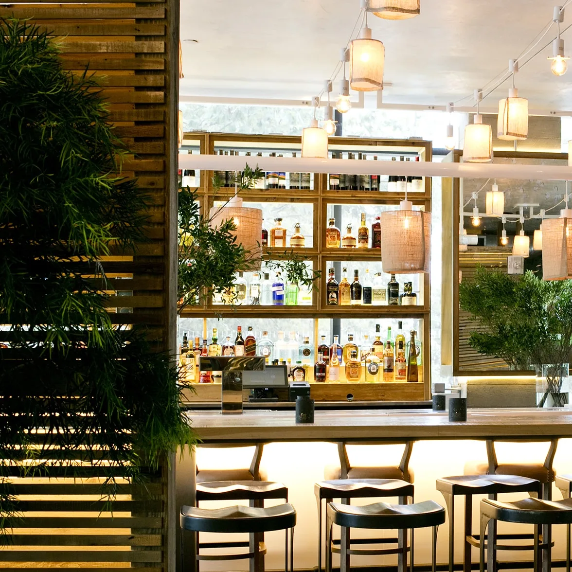Greenery  Wooden panels  Stools  Bar top  Hanging lights  Liquor bottles  Plants  Reflection  Mirrors  Countertops