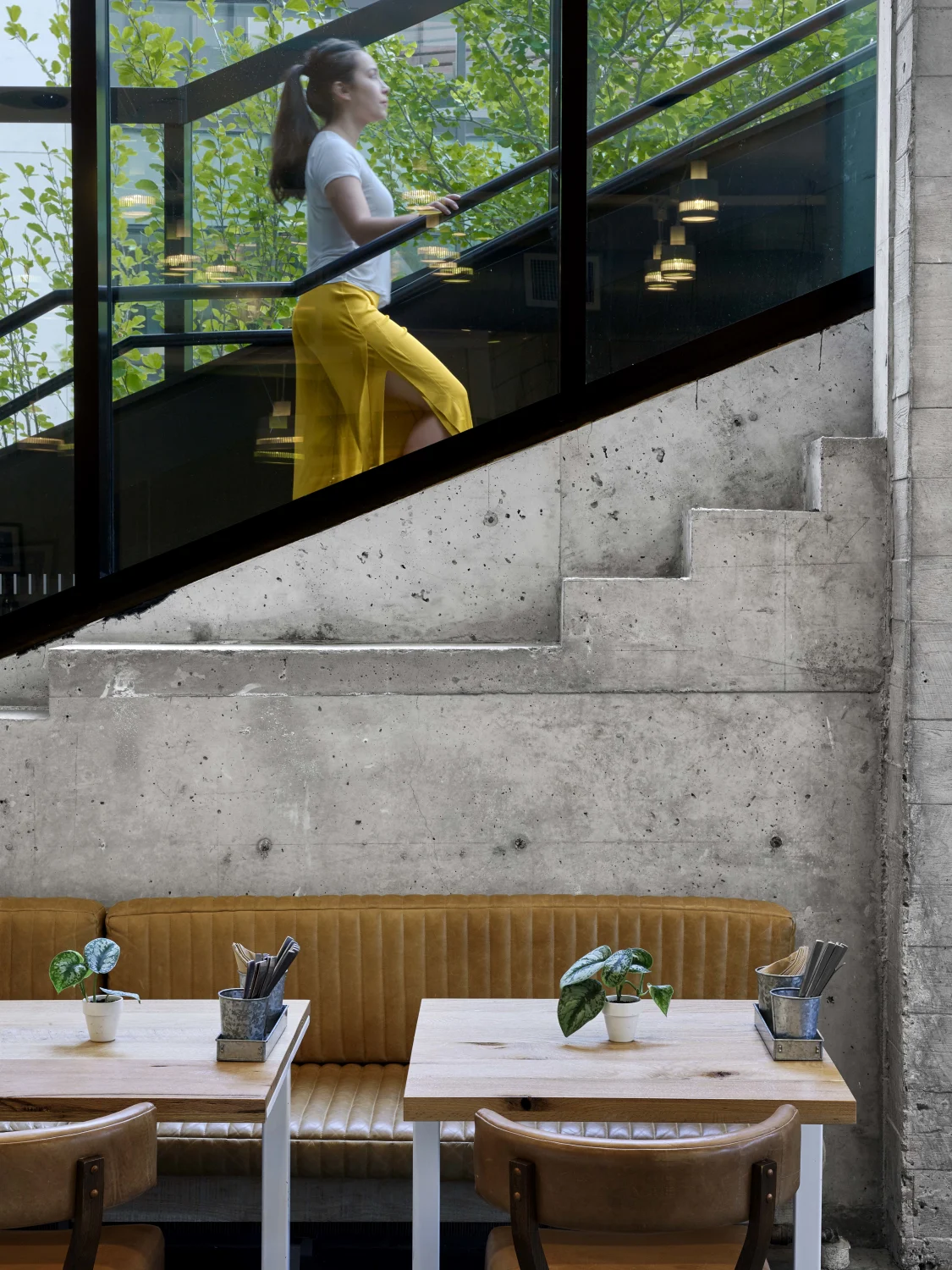 Staircase,  Concrete,  Glass,  Seating,  Tables,  Plants,  Upholstery,  Cutlery,  Window,  Modern