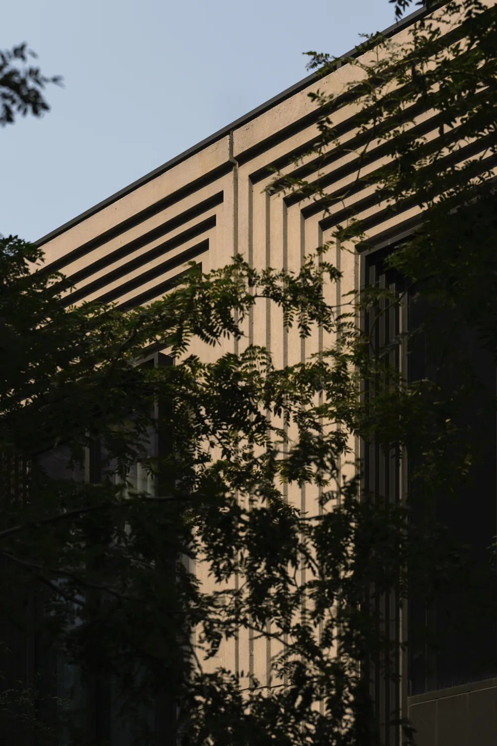 details, obscured, natural light, geometry, windows