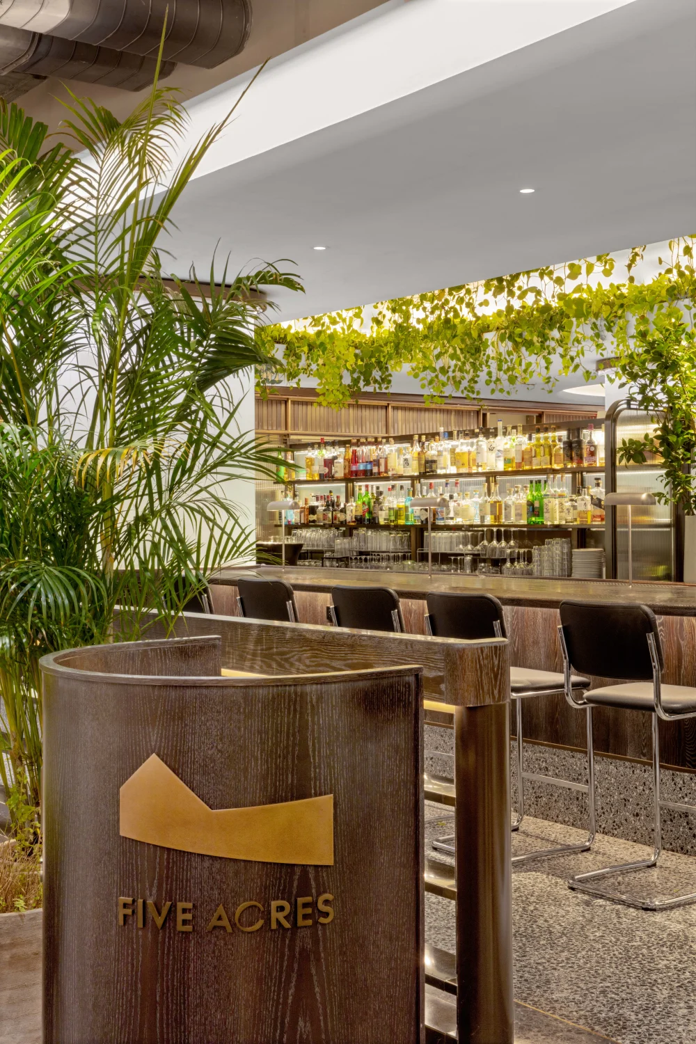 rockefeller plaza nyc 2024 (67)