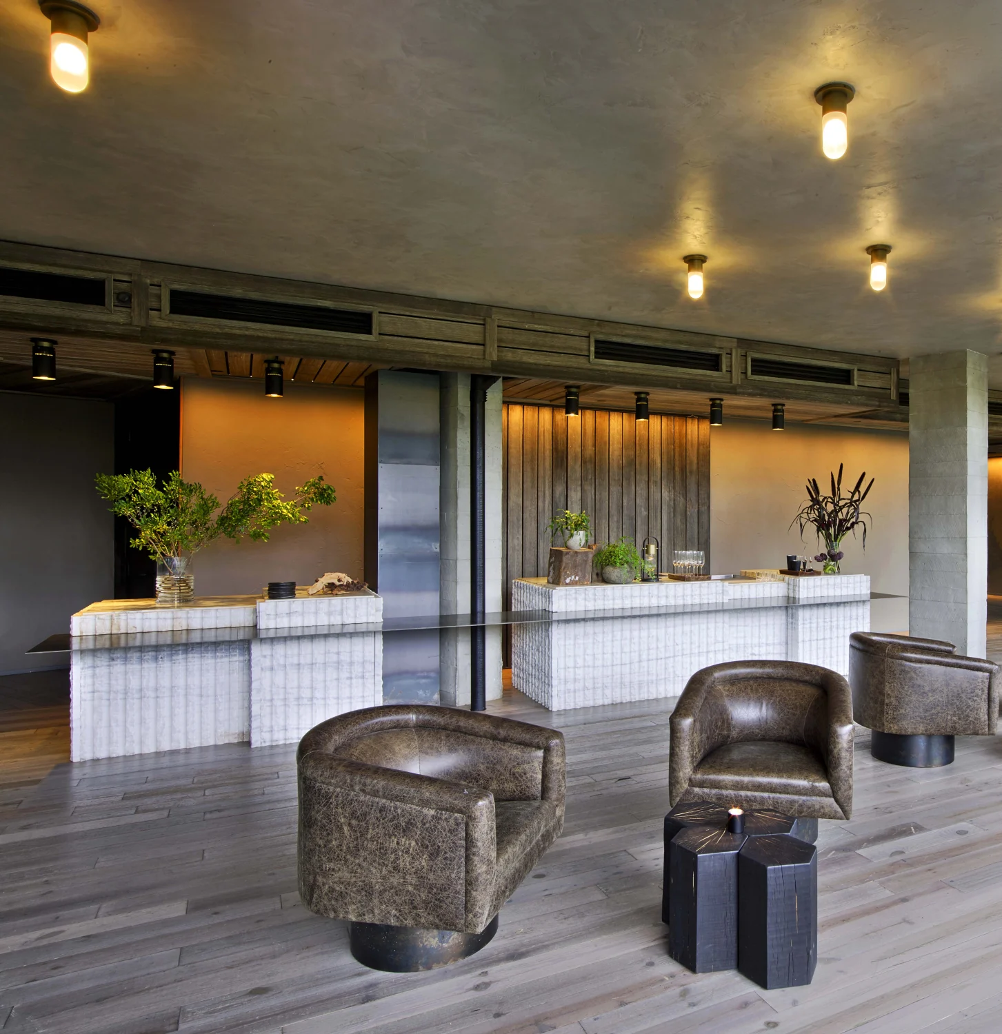 Lounge  Armchairs  Side tables  Ceiling lights  Planters  Open space  Concrete  Wooden flooring  Reception desk  Ambient lighting