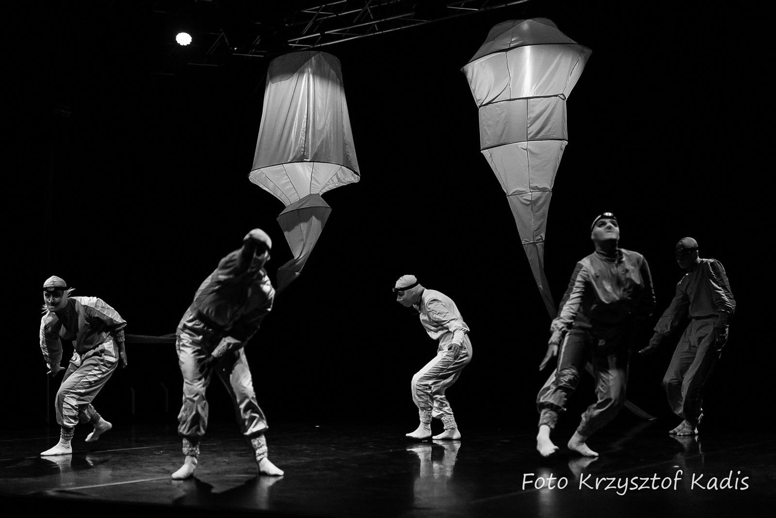 THE TRIBE Performance