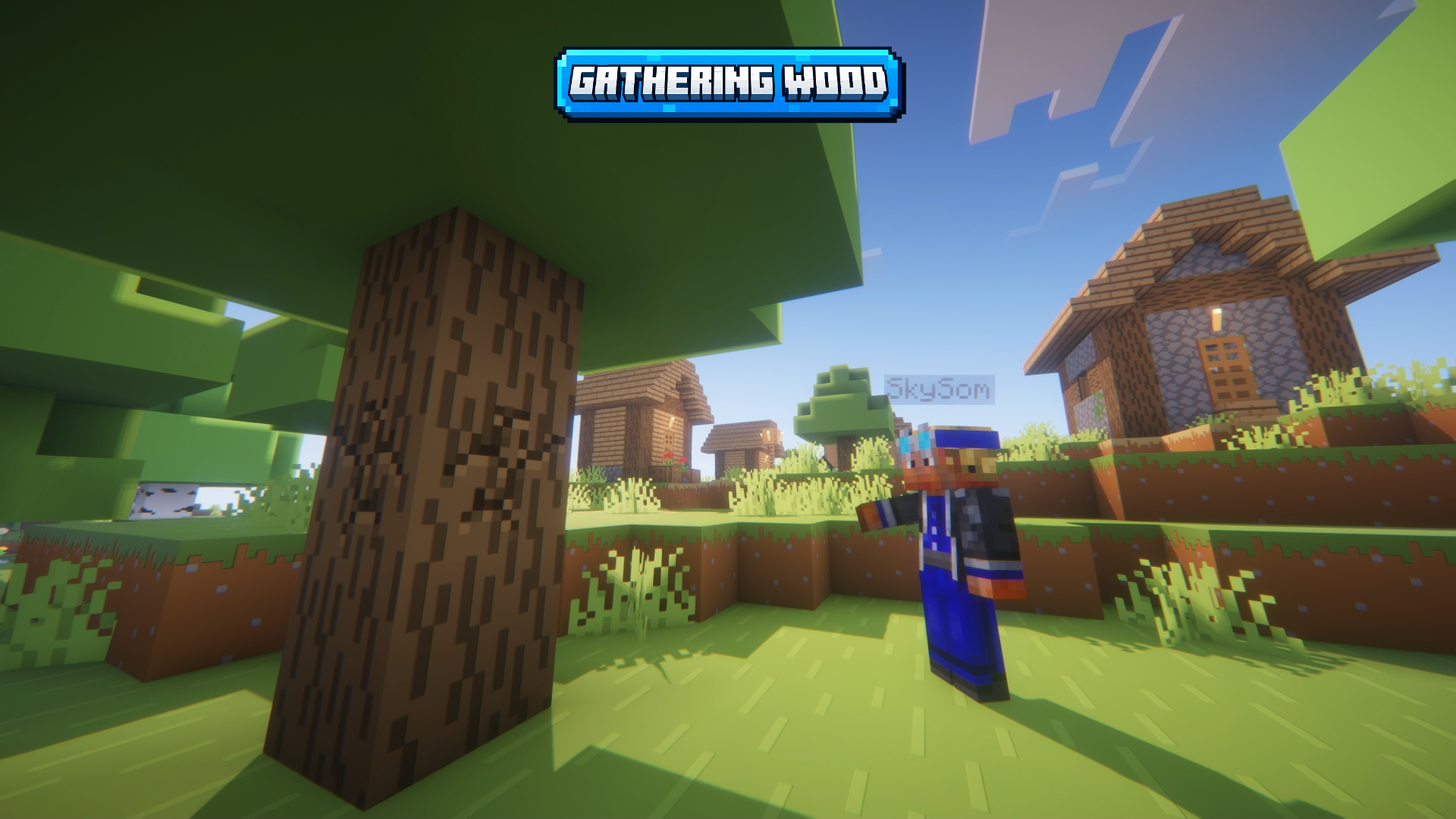 Gathering Wood