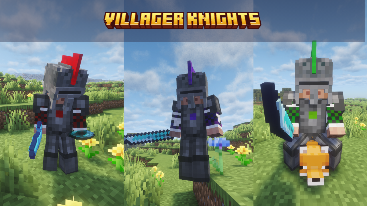 Villager Knights