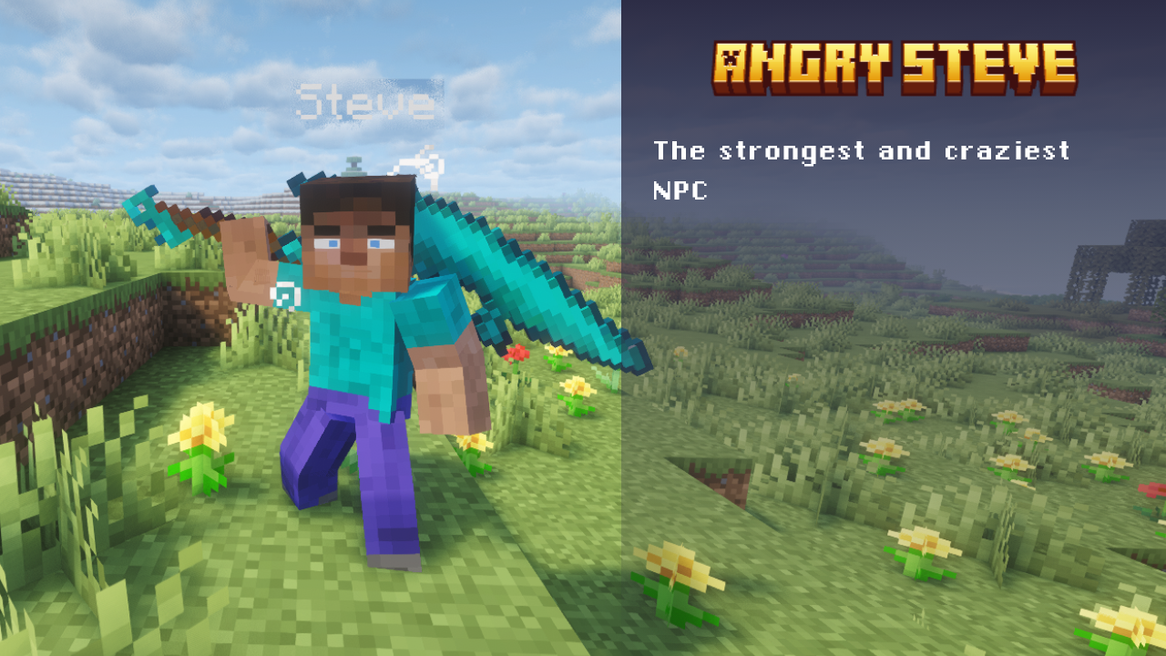 Angry Steve