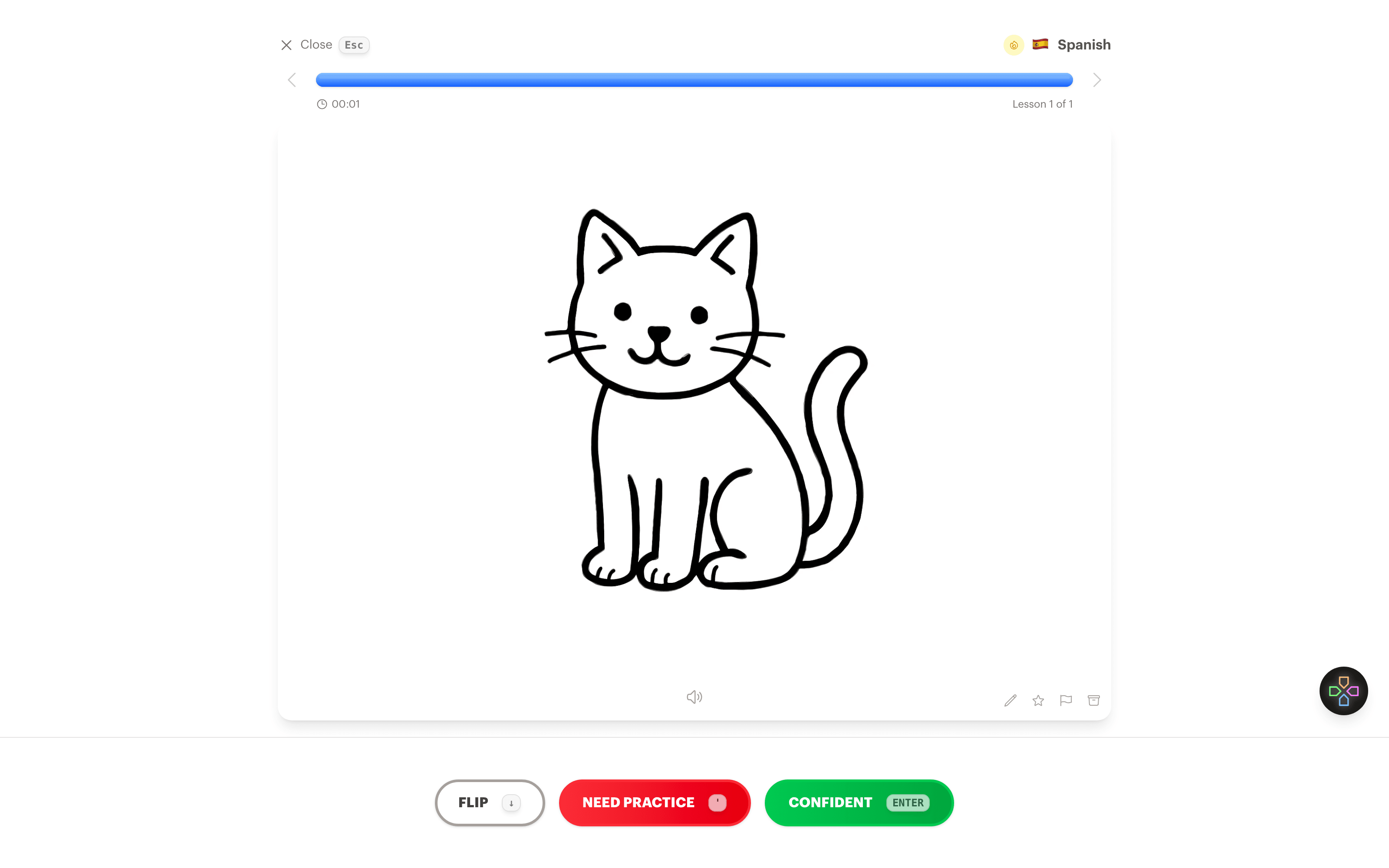 A Spanish flashcard review showing a sketch of a cat on the back of the card for el gato
