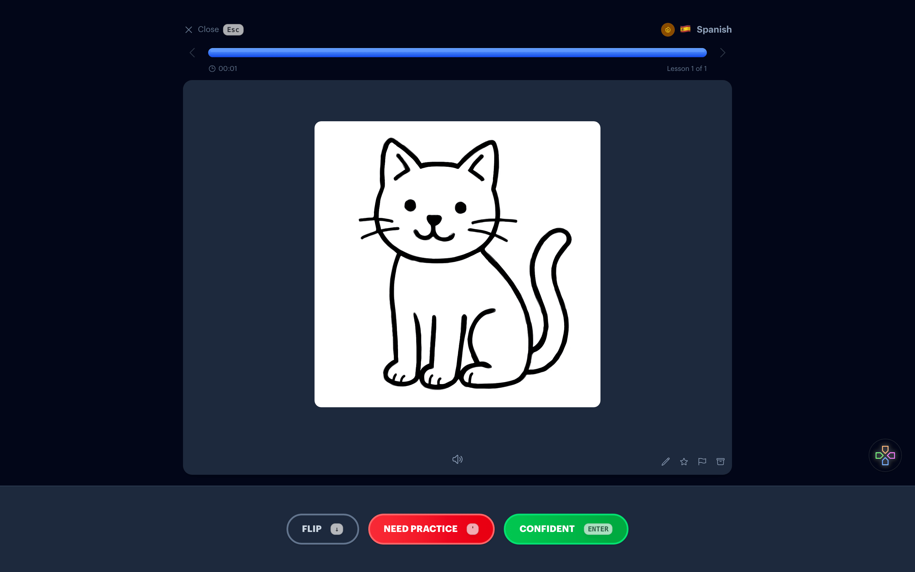 A Spanish flashcard review showing a sketch of a cat on the back of the card for el gato