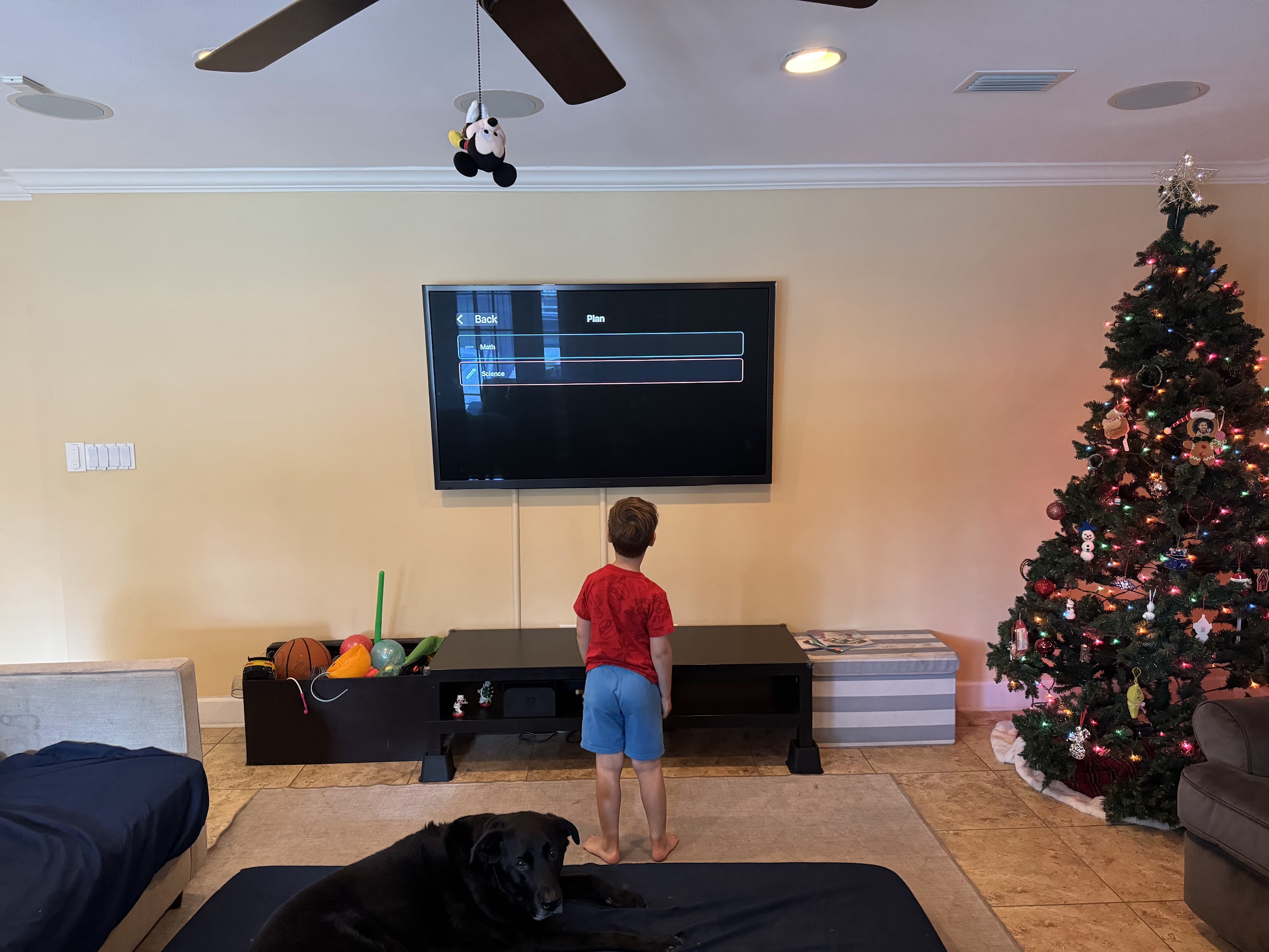 Prototype of the tvOS app with school subjects.