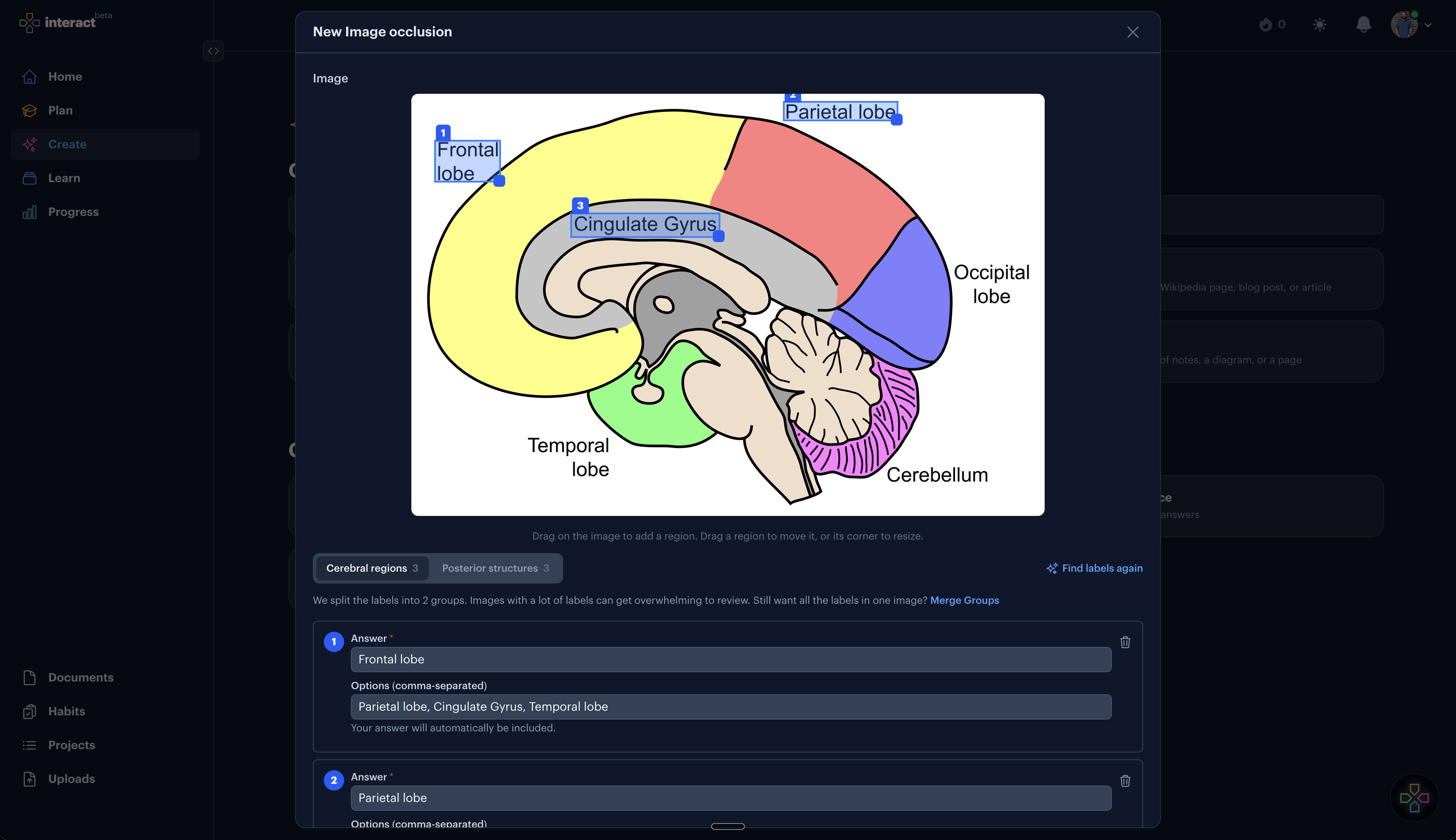 The vision agent can automatically find labels in images and draw regions.