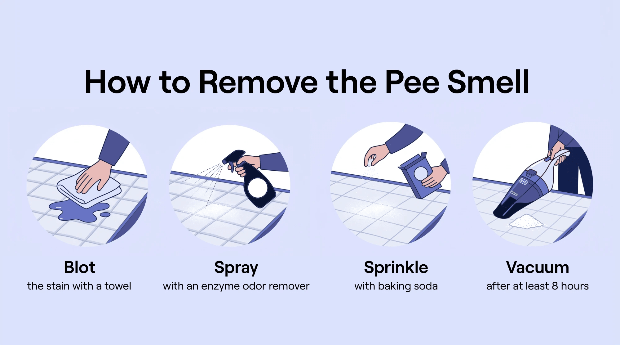 Flat-lay step-by-step infographic showing the cleaning sequence: blot → enzyme spray → baking soda → vacuum.