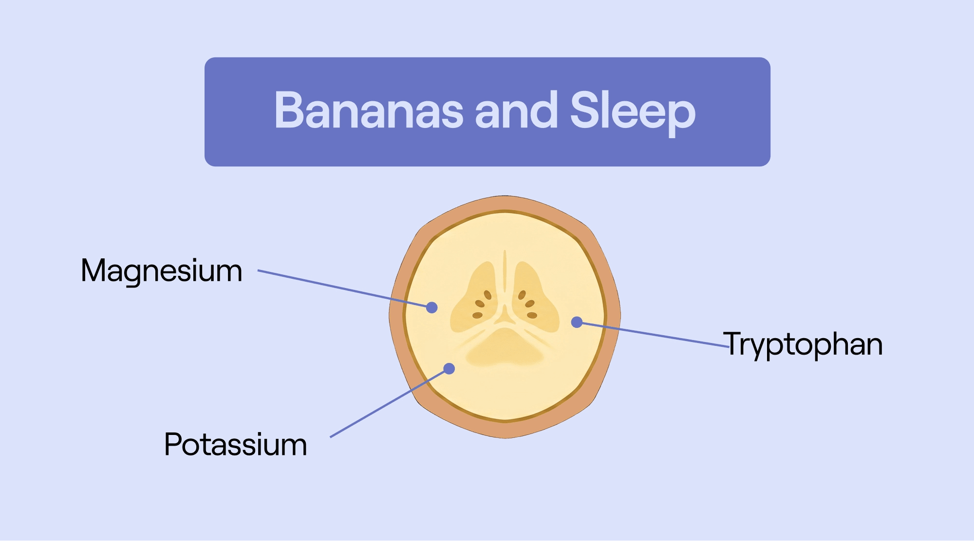 Cross-section of a banana with tryptophan, magnesium, and potassium labeled