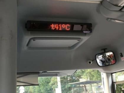 Жара в Ростовской области 9-11 августа достигнет 42 градусов в тени