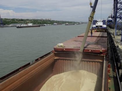 В Ростовской области могут собрать рекордный урожай зерновых