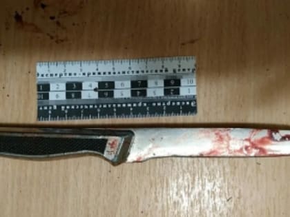 10 ударов ножом: на Дону женщина убила дальнобойщика