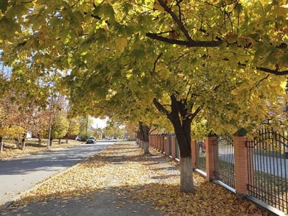 Прохладную и дождливую середину недели обещают шахтинцам