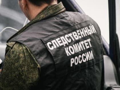 Житель Каменска задержан по подозрению в убийстве сожительницы